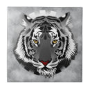 Recherche de tigre blanc carreaux Tigres