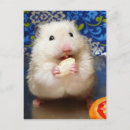 Recherche de syrien cartes postales Hamster