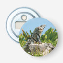 Recherche de lézard bar Faune
