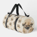 Search for pekinese Peke