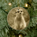 Search for meerkat ornaments Suricata
