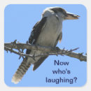 Search for kookaburra bird stickers Kingfisher