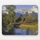 Search for chuck mousepads Cloud