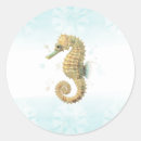 Search for seahorse stickers Ocean