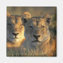 Recherche de parc national chobe magnets Nature