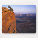 Recherche de rocheuse tapis souris Parc national