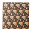 Search for pets tiles Animal