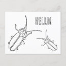Recherche de insectes mignons cartes postales Pour enfants