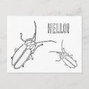 Search for bug postcards Cute