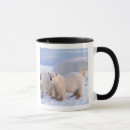 Search for polar bear cub mugs Anwr