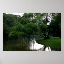 Search for calm waters posters River