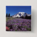 Search for mount rainier buttons Mountain