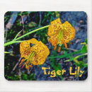 Recherche de tiger tapis souris Vert