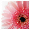 Search for 6x6 posters Garden