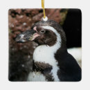 Search for black and white penguin ornaments Animal