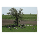 Search for lays postcards Tree