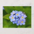 Search for notting postcards Blue