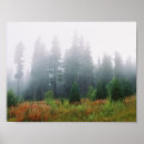 Recherche de pine forest posters Arbres