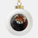 Recherche de panda rouge ornements Mammifère