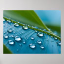 Search for drop leafs posters Dew
