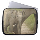 Search for grassland cases Ie