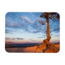 Recherche de accrocher magnets Photographie