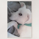 Search for st patricks day puzzles Adorable