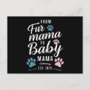 Recherche de mamie de cartes postales Chat