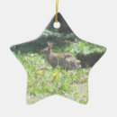 Search for wild ornaments Meadow