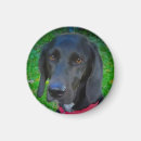 Search for lab” magnets Black