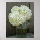 Search for hydrangea posters Floral