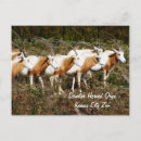 Recherche de savane cartes postales Faune