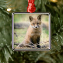 Recherche de woodland animal ornaments Fox