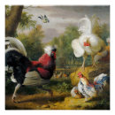 Recherche de oiseaux vintages posters Animal