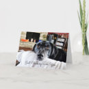 Search for cute animal thinking of you cards Puppy
