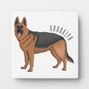 Search for german shepherd photo display Alsatian