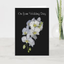 Search for moth invitations White