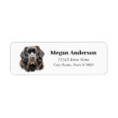 Search for newfoundland return address labels Puppy