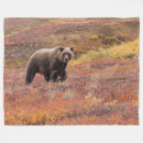 Search for national park blankets Bear