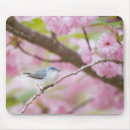 Search for tree blossoms mousepads Photograph