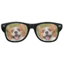 Search for dog sunglasses Pet
