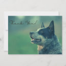 Search for australian cattle dogs cards Puppy