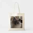 Recherche de ragdoll sacs Minou