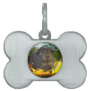 Search for cute pet tags Nature