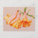 Recherche de sarah cartes postales Floral