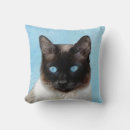 Search for siamese cat pillows Kitten
