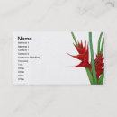 Recherche de heliconia Botanique
