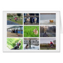 Search for dog leads Pet