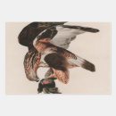 Search for falcon wrapping paper Nature