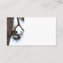 Recherche de écureuils cartes visite Animal